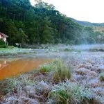Monte-verde-Foto- Ricardo-Cozzo 45