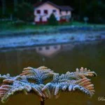 Monte-verde-Foto- Ricardo-Cozzo 46