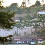 Monte-verde-Foto- Ricardo-Cozzo 53