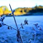 Monte-verde-Foto- Ricardo-Cozzo 55