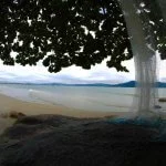 IMG_6283-Florianopolis-Meio-Ambiente-Praia-do-Forte