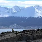 ushuaia-lob-marinho-foto-marcio-masulino-IMG_9476