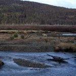 ushuaia-parque-nacional-ana-lucia-dos-santos-IMG_1502