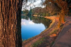 Parque Ibirapuera