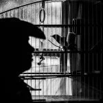 Work-and-Art—policia-ambiental-8551