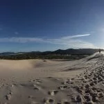 IMG_6170-Florianopolis-Meio-Ambiente-Dunas-Joaquina-web