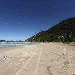 IMG_6408-Florianopolis-Meio-Ambiente-Praia-Solidao-X-web