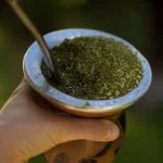 Serra-Gaucha-Catarinense-erva-mate-chimarrao-2465868-div-web