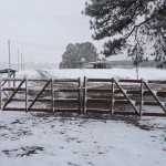 Bom-Jesus-Caminhos-da-Neve-foto-Alex-Boeira-3795-web