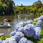 Gramado-Lago-Negro-foto-Cleiton-Thiele-8771-web