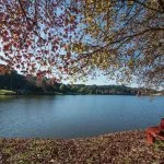 Sao-Francisco-de-Paula-Chico-Lago-Sao-Bernardo-MM-7883-web