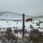 Sao-Jose-dos-Ausentes-Caminhos-da-Neve-divu0068-web