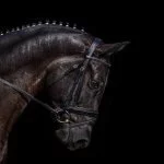guto ambar – looks DSC_5842