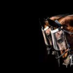 guto ambar – looks DSC_7302