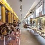Belo-Horizonte-Museu-de-Artes-e-Oficios-foto-Daniel-Mansur-web