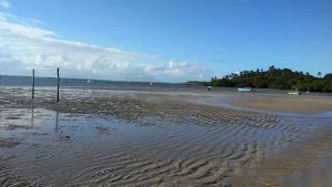 Praia dos Carneiros