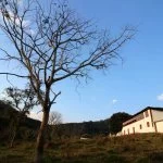 Sao-Jose-do-Barreiro-Fazenda-Pau-Dalho-Vista-Exterior-ft-MAB-X-web