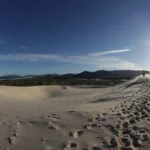IMG_6170-Florianopolis-Meio-Ambiente-Dunas-Joaquina