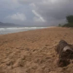 praia-mocambique-floripa-IMG_5831