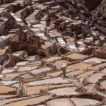 Cusco-Maras-foto-Marcio-Masulino-7538-web