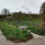 IMG-20190327-WA0045 – Jardim de Monet – ft Nathália Weber