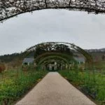 IMG-20190327-WA0099 – Clos-Normand – ft Nathália Weber