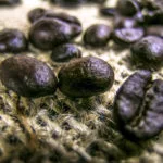 Grãos torrados de café