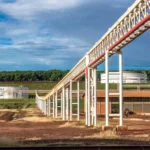 cana-de-acucar-cadeia-produtiva-Alf-Ribeiro-0002-0324-web
