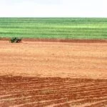 cana-de-acucar-cadeia-produtiva-Alf-Ribeiro-0022-0335-web