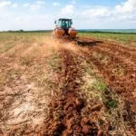 cana-de-acucar-cadeia-produtiva-Alf-Ribeiro-0022-0411-web