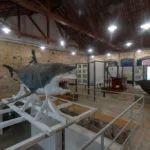 cananeia-cultura-museu-victor-sadowski-048xs-web