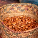 Marrocos-Marrakech-amendoas-de-argan-6622x-web