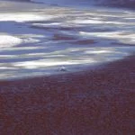 atacama-foto-Ricardo-Martins-9478-web