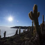 atacama-foto-Ricardo-Martins-9563-web