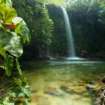 Jalapao-Cachoeira-das-Araras-Foto-Caroline-Maki-47-web