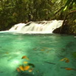 Jalapao-Cachoeira-do-Formiga-Foto-Caroline-Maki-29-web