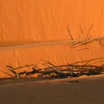 Jalapao-Dunas-Foto-Caroline-Maki-26-web