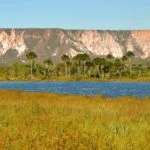 Jalapao-Lagoa-do-Jacare-Foto-Caroline-Maki-22-web