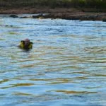 Jalapao-Paisagens-Ecolodge-Foto-Caroline-Maki-49-web