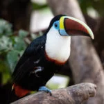 venezuela-parque-nacional-canaima–73