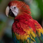 venezuela-parque-nacional-canaima–75