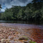 venezuela-tribo-kanaimo-parque-canaima–172