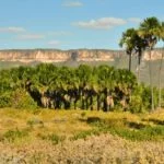 Serras-Gerais-Morro-da-Rainha-foto-Caroline-Maki-54-web