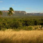 Serras-Gerais-Morro-da-Rainha-foto-Caroline-Maki-55-web