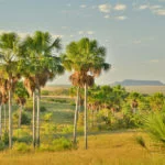 Serras-Gerais-Rio-da-Conceicao-foto-Caroline-Maki-20-web