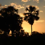Serras-Gerais-Rio-da-Conceicao-foto-Caroline-Maki-23-web