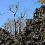 Serras-Gerais-Trilha-Vale-Encantado-foto-Caroline-Maki-26-web
