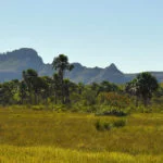 Serras-Gerais-caminho-Lagoa-foto-Caroline-Maki-09-web
