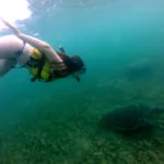 fernando-de-noronha-baia-do-sueste-web
