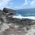 fernando-de-noronha-capim-acu-web
